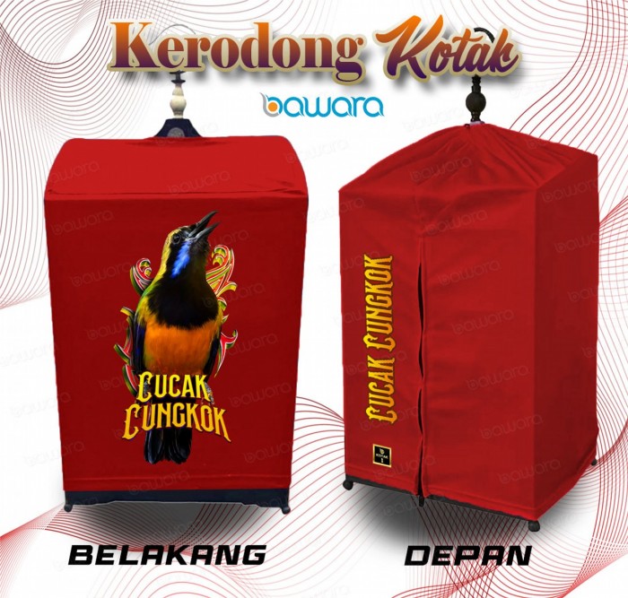 bawara Kerodong Sangkar Kotak Bawara Cucak Cungkok