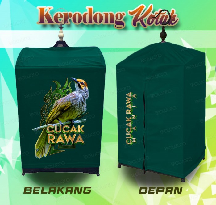 bawara Kerodong Sangkar Kotak Bawara Cucak Rawa