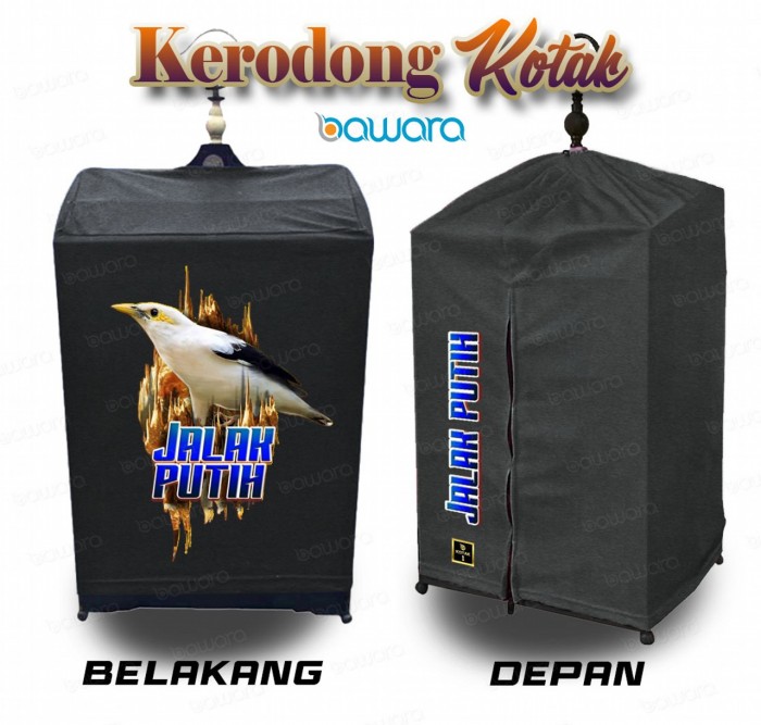 bawara Kerodong Sangkar Kotak Bawara Jalak Putih